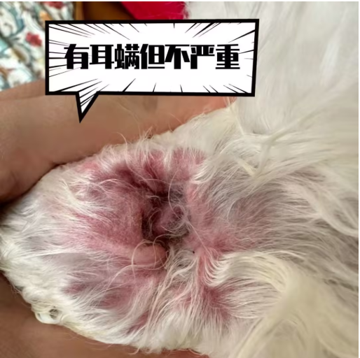 4ddc21cf7ffdf98da9556ad7faa7efec